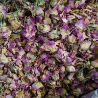 گل محمدی خشک و غنچه گل محمدی مفت مفت