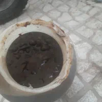 سیر ترشی