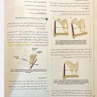 بسته مشاورهوتدریس دروس سخت توسط دانشجوی دندانپزشکی