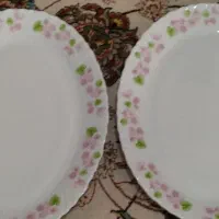 تعدادی ظروف چینی دو دیس ارکوپال|ظروف سرو و پذیرایی|اصفهان, کنگاز|دیوار