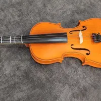 ویولن استیودنت|ویولن|اصفهان, بهارستان|دیوار