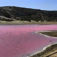 تور چابهار|تور و چارتر|تهران, امیریه|دیوار