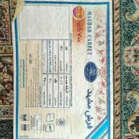 دوتخته فرش 12متری|فرش|گنبد کاووس, |دیوار