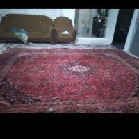فرش دست بافت ۱۲ متری