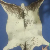 پوست بز تزیینی