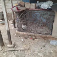 قفس بزرگ ۲در۲ در کوار