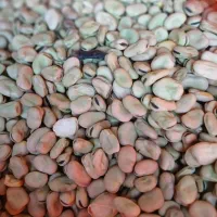 باقالی|خوردنی و آشامیدنی|بستان آباد, |دیوار