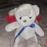 عروسک نوع نوع