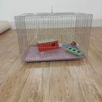 قفس|لوازم جانبی حیوانات|بهمن صغاد, |دیوار