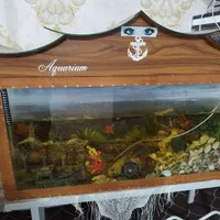 اکواریوم و ماهی