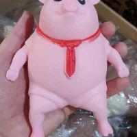 فیجت ضد استرس خوک شنی ۵۰۰گرمی وگوریل شنی،تک و عمده