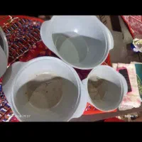 قابلمه