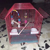 قفس پرنده