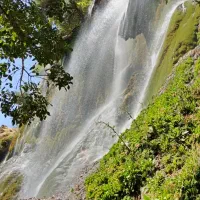 راهنمایی در مورد رشت