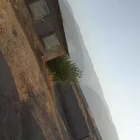 مرغداری ۱۰۰۰۰ گوشتی