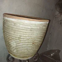 تعدادی گلدان|گل و گیاه طبیعی|تهران, خرمشهر|دیوار