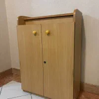 دو عدد جا کفشی