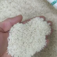 برنج هاشمی گیلان