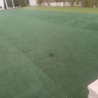 چمن دست دوم حدود 600 متر