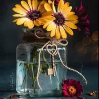 پسرهستم... همخونه میشم