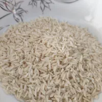 برنج هاشمی درجه یک یکیار بخری مشتری میشی|خوردنی و آشامیدنی|مشهد, شهرک رازی (شهرک غرب)|دیوار