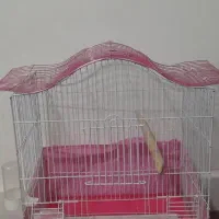 قفس پرنده صورتی|لوازم جانبی حیوانات|سنندج, |دیوار