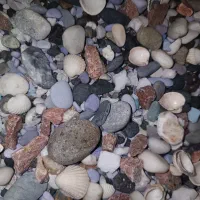 ماسه آکواریوم