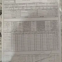 زمین رضامحله سارسر|فروش زمین و ملک کلنگی|کلاچای, |دیوار