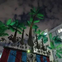 علامت ۵ تیغه