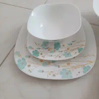 سرویس آرکوپال نو با کارتن