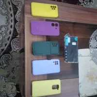 گاردگوشی