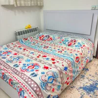 تخت دونفره به همراه تشک و پاتختی|تخت و سرویس خواب|کرمان, |دیوار