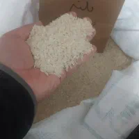 برنج طارم و ضیغمی شیروان به شرط پخت