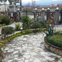 همکار خانم