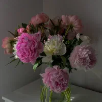 قلمه شمعدانی