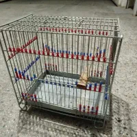 قفس سهره