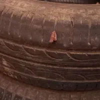 لاستیک۲۰۵/۵۵/۱۶رادیاتور دوو لاستیک پرایدو دوو|قطعات یدکی و لوازم جانبی|کرج, گلستان|دیوار