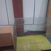 قفس|لوازم جانبی حیوانات|داراب, |دیوار