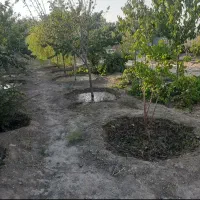 فروش زمین باغی در جاده بازمرگان تقاطع عسکریه|فروش خانه و ویلا|مشهد, میان ولایت|دیوار