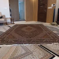 فرش دست باف ماهی|فرش|قزوین, |دیوار