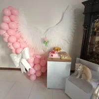 واگذاری گربه