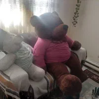 ۳ عدد عروسک خرس بزرگ که یکیش خیلی بزرگه