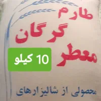 برنج طارم و هاشمی گرگان کیسه 10 کیلو یی|خوردنی و آشامیدنی|رامهرمز, |دیوار