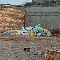 گندم|لوازم جانبی حیوانات|قم, قلعه صدری|دیوار