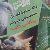 دان مخلوط کبوتر۱۲ تخم ضدعفونی شده با تخفیف ویژه