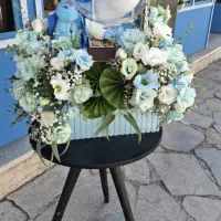 باکس پیویسی|گل مصنوعی|اصفهان, قهجاورستان|دیوار