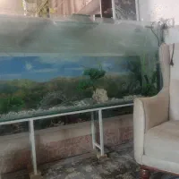 آکواریوم