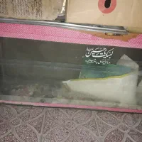 اکواریم سالم شیشه ۱۰میل