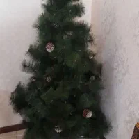 درخت کریسمس ۲متری