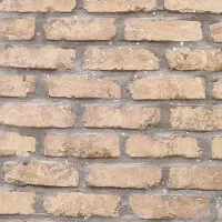 سوئیت-اجاره-ای